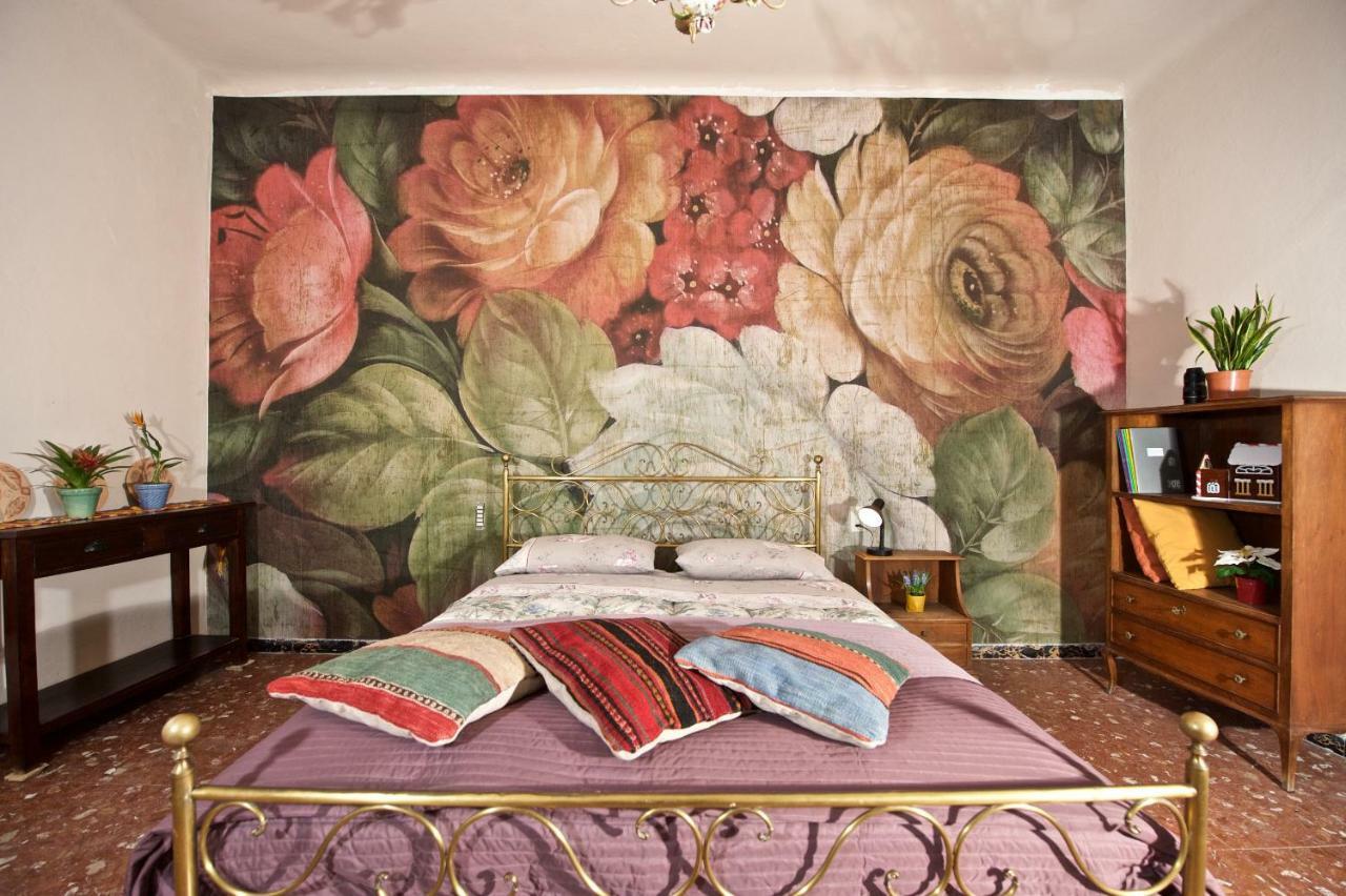 Liberi Mercanti - Guest House Affittacamere Lucca Eksteriør billede